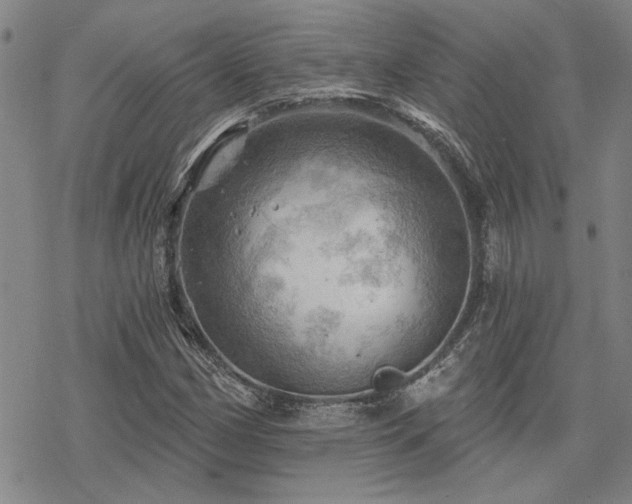 X0000068821162200605051203