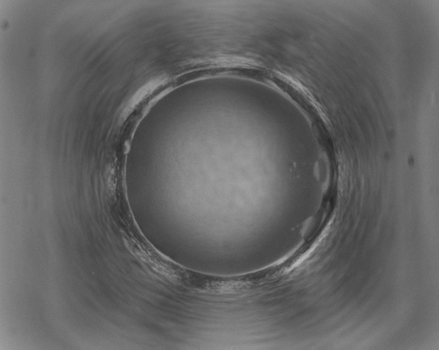 X0000068821163200605051203