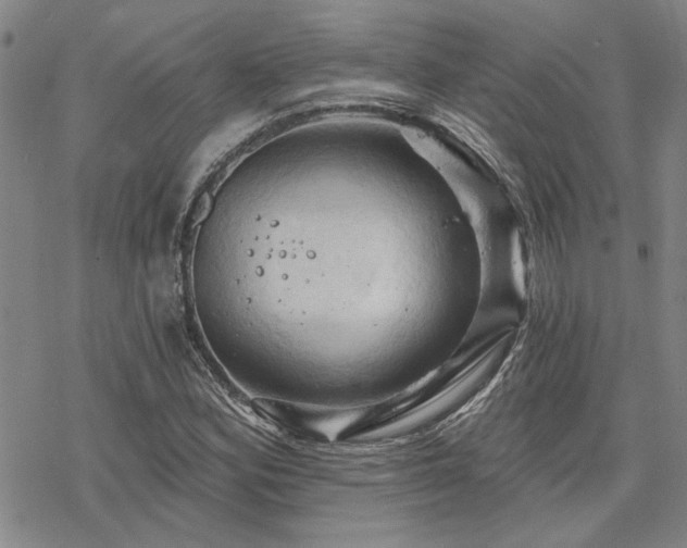 X0000068821164200605051203