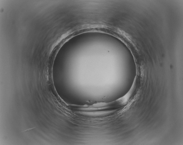 X0000068821165200605051203