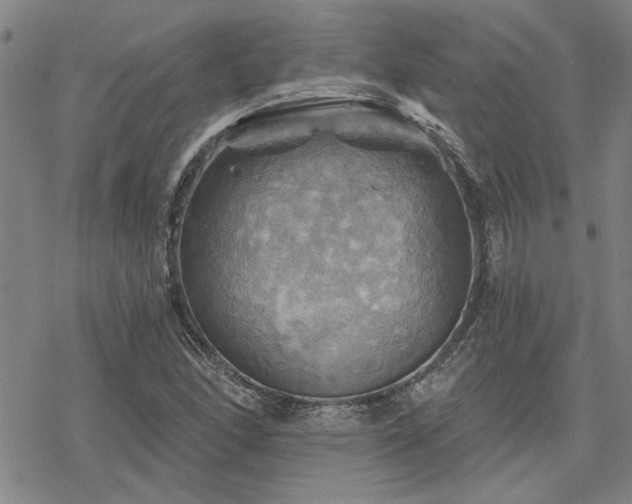 X0000068821166200605051203