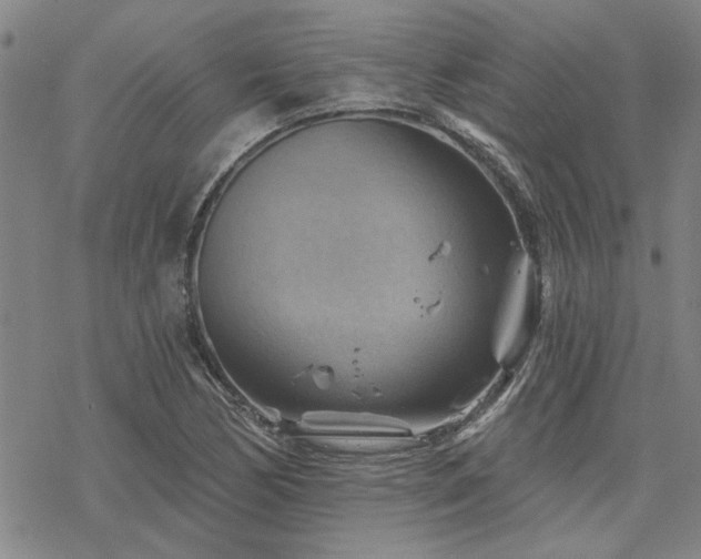 X0000068821170200605051203