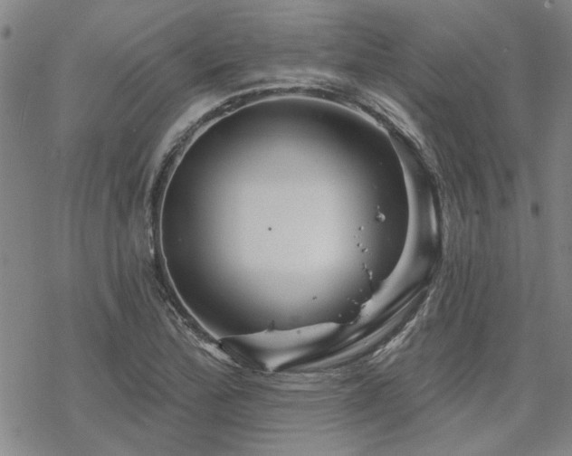 X0000068821172200605051203