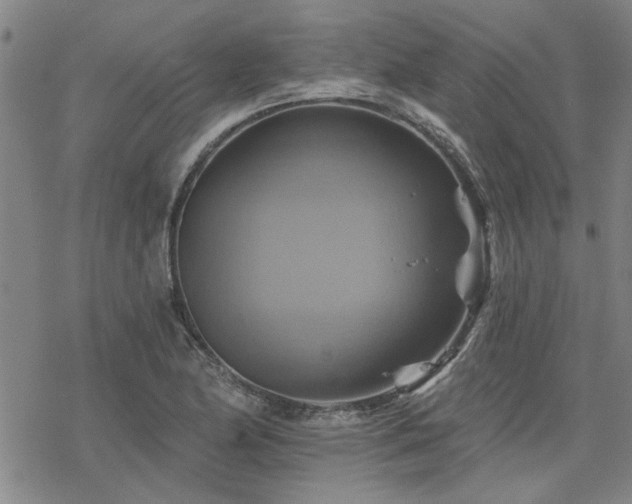 X0000068821174200605051203