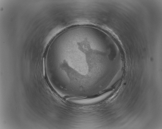 X0000068821175200605051203