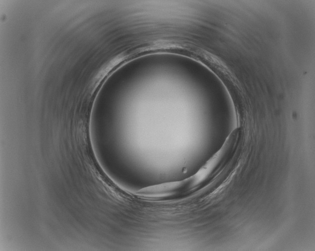 X0000068821177200605051203