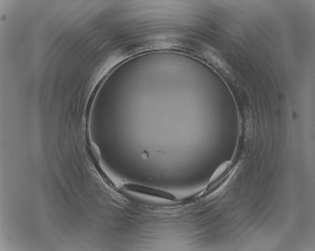 X0000068821178200605051203