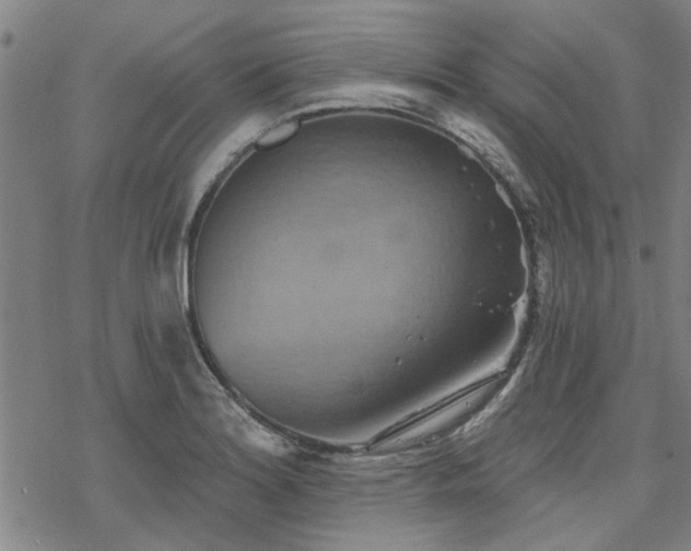 X0000068821180200605051203