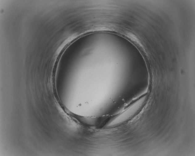 X0000068821181200605051203