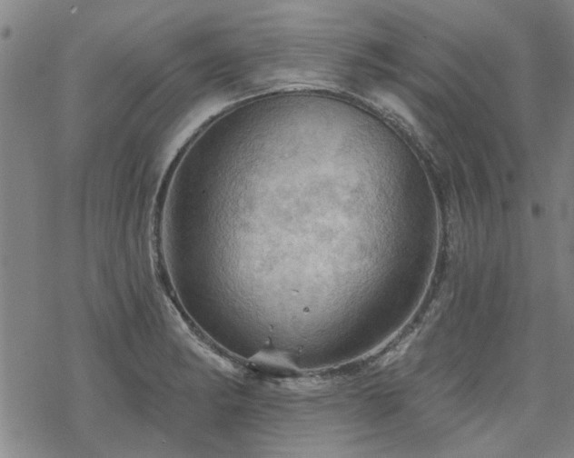 X0000068821182200605051203