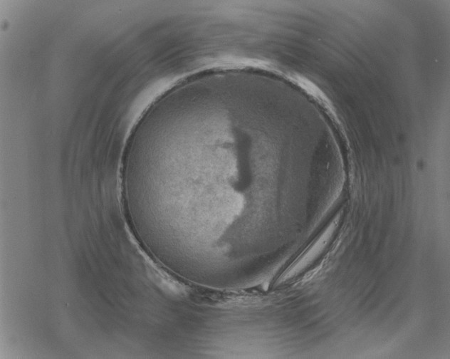 X0000068821183200605051203