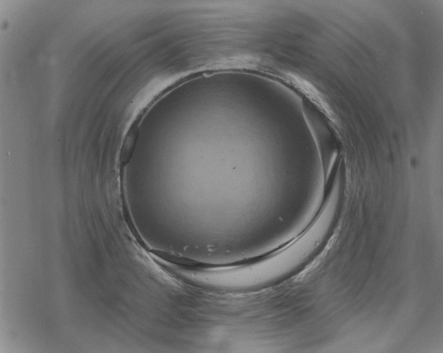 X0000068821184200605051203