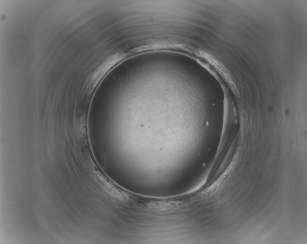 X0000068821185200605051203