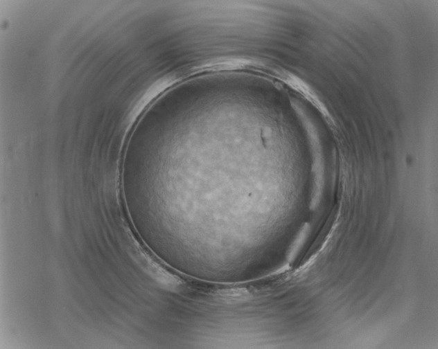 X0000068821186200605051203