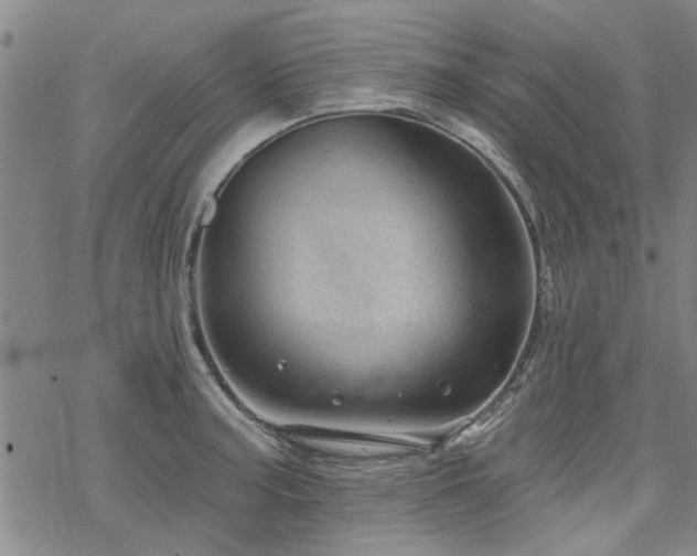 X0000068821187200605051203