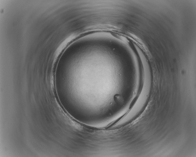 X0000068821188200605051203