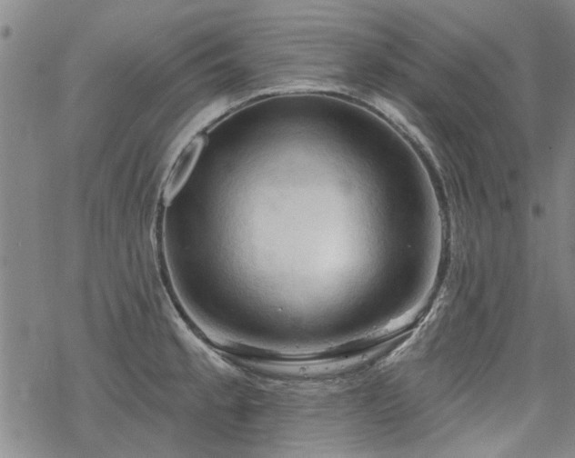 X0000068821189200605051203