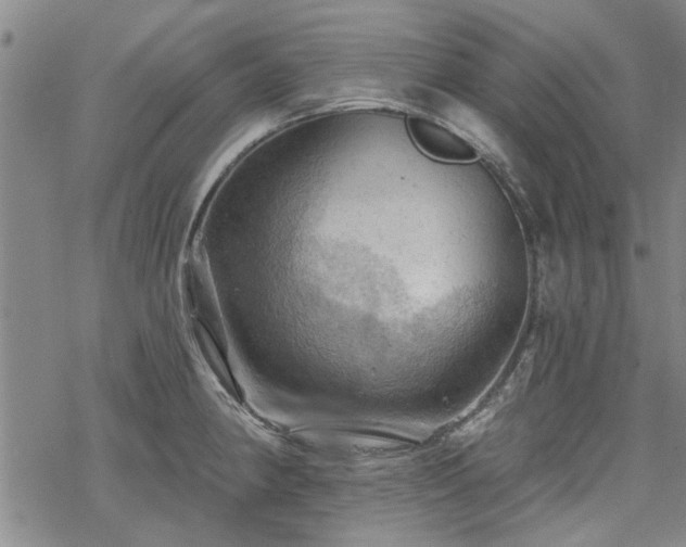 X0000068821190200605051203