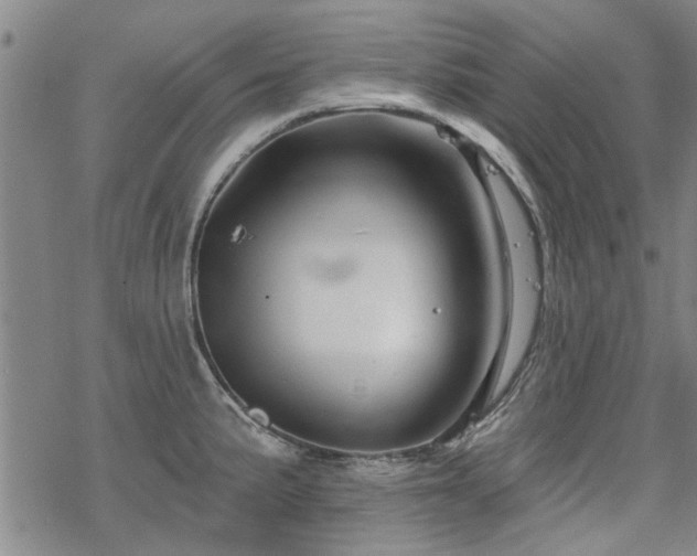 X0000068821191200605051203