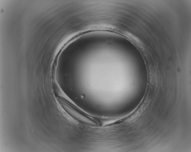 X0000068821192200605051203