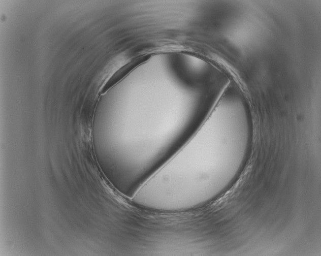 X0000068821193200605051202