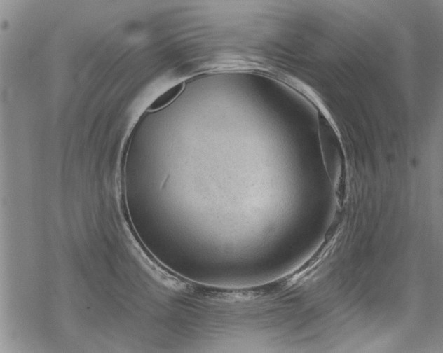 X0000068821195200605051202