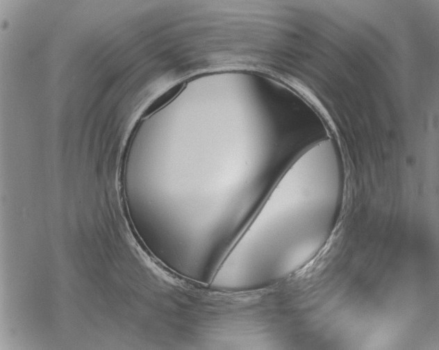 X0000068821197200605051202