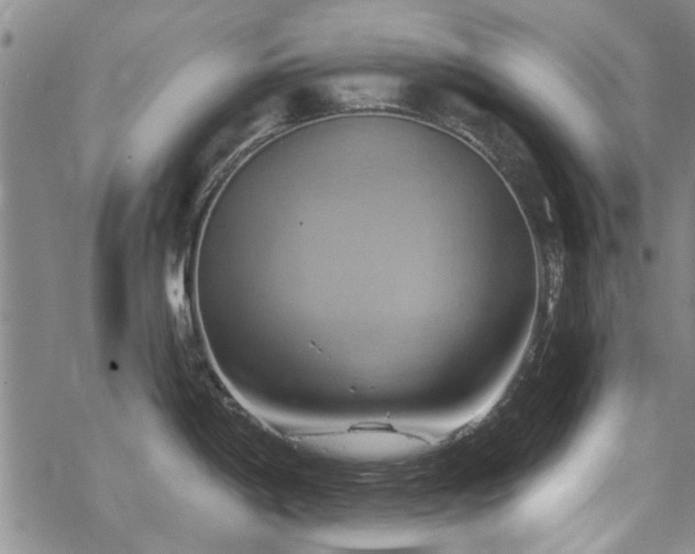 X0000068821198200605051202