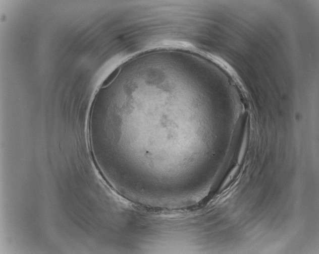 X0000068821199200605051202