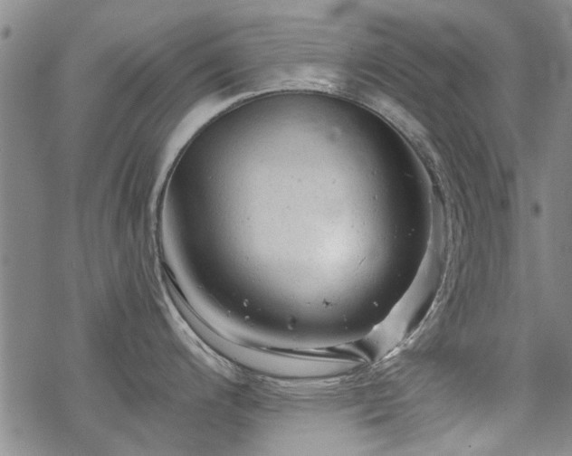 X0000068821200200605051202