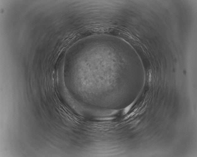 X0000068821202200605051202