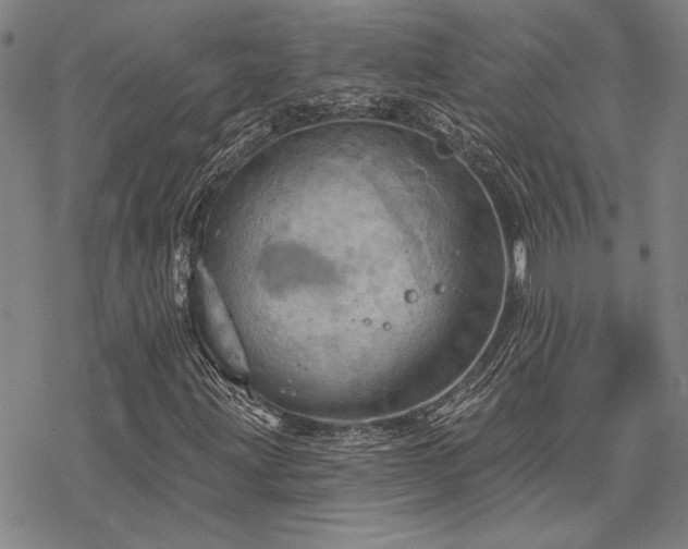 X0000068821203200605051202