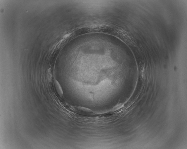 X0000068821204200605051202