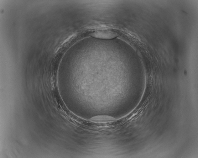 X0000068821205200605051202