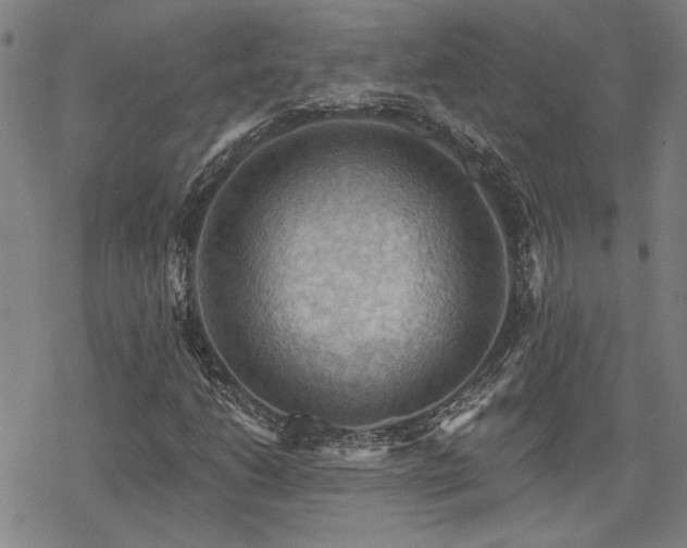 X0000068821206200605051202