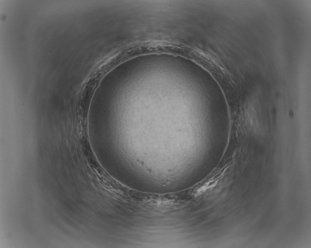 X0000068821207200605051202