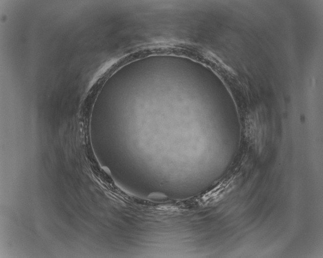 X0000068821208200605051202