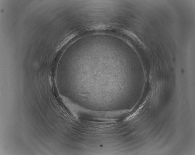 X0000068821209200605051202