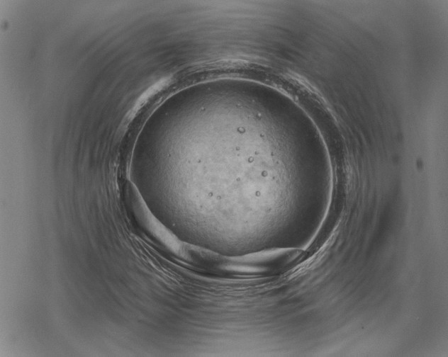 X0000068821210200605051202