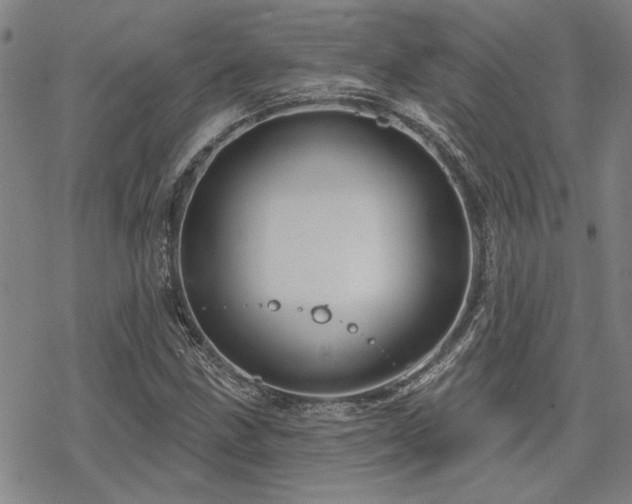 X0000068821211200605051202