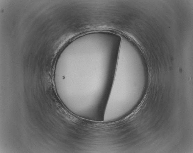 X0000068821212200605051202