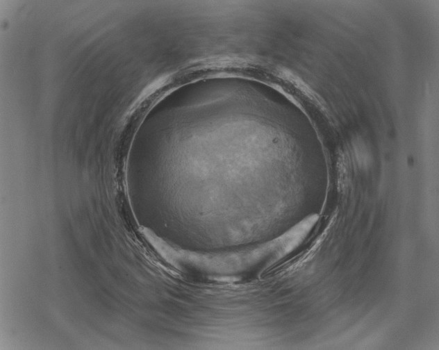 X0000068821213200605051202