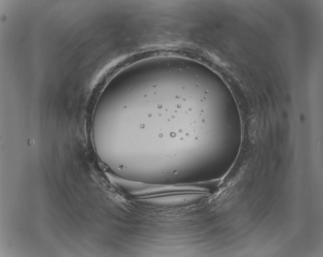 X0000068821214200605051202