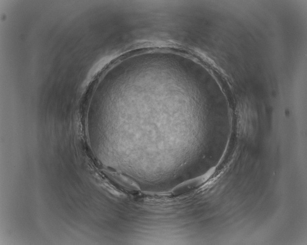 X0000068821215200605051202