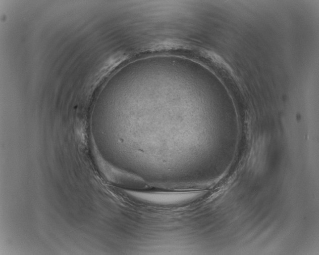 X0000068821217200605051202