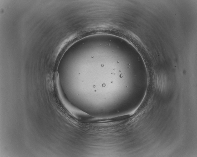 X0000068821218200605051202