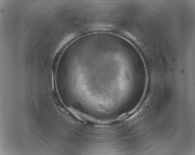 X0000068821219200605051202