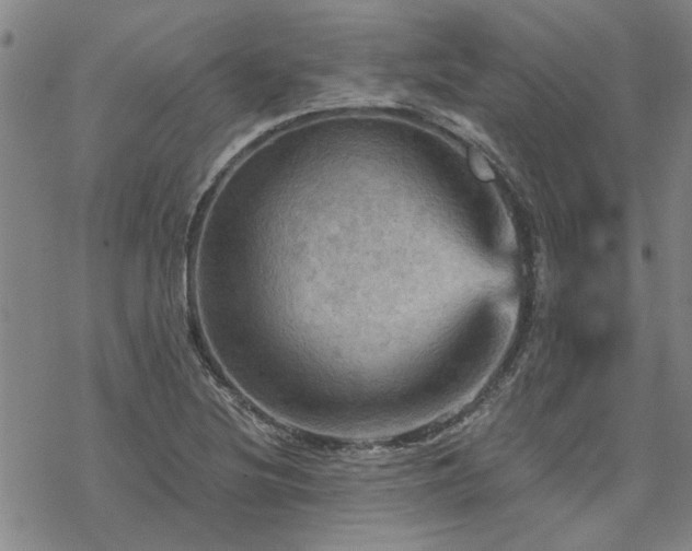 X0000068821220200605051202