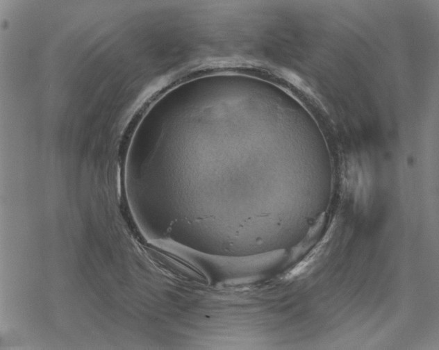 X0000068821221200605051202