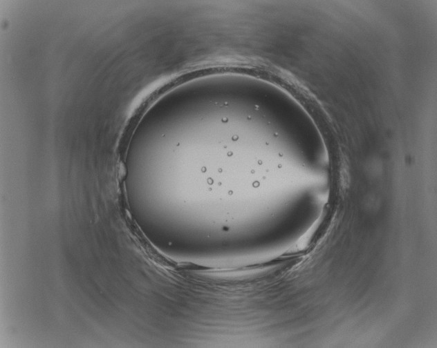 X0000068821222200605051202